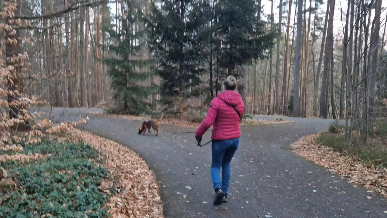 Intensity – was passiert ohne Anreiz?