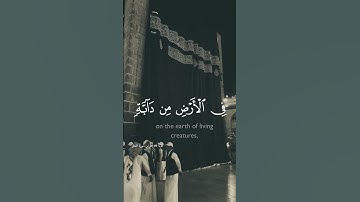 سورة النحل 49 - 50 || القارئ خالد الجليل