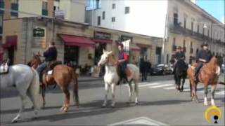 Fiera di Santa Caterina d'Alessandria 2012 a Galatina - Sfilata cavalli e sbandieratori