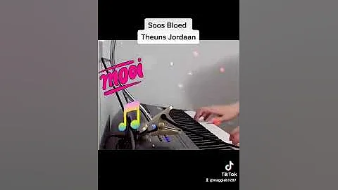 Soos Bloed- Theuns Jordaan pianocover #theunsjordaan #soosbloed #afrikaansemusiek #afrikaans