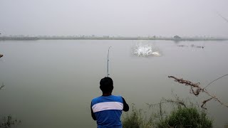পদ্মার চর থেকে বড় রুই মাছ ধরার পদ্ধতি | Rohu Fishing in Padma