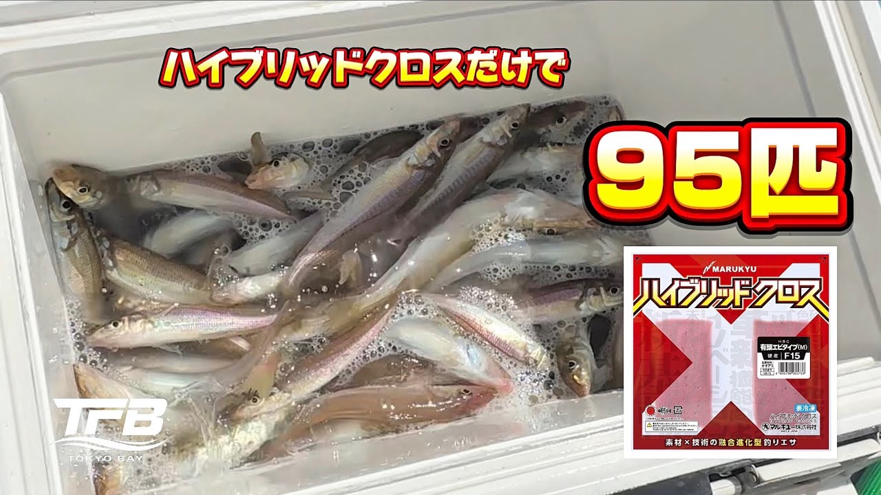 Top Rod Using Only Hybrid Cloth: Japanese Whiting Fishing at