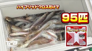 Top Rod Using Only Hybrid Cloth: Japanese Whiting Fishing at