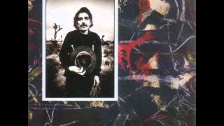 Captain Beefheart - The Witch Doctor Life