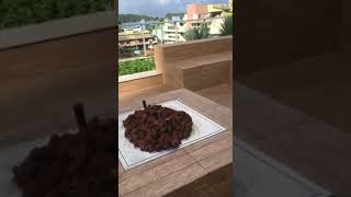 Puntabl Residence No Centro De Bombinhas