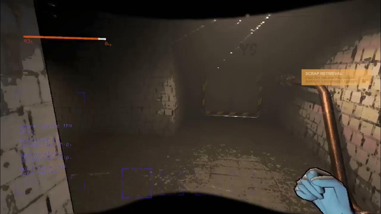 FREEE BIRD YEAH PIPIRU PEW PEW PEW YouTube