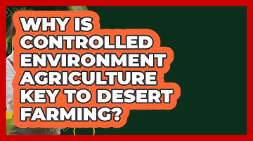 Why Is Controlled Environment Agriculture Key To Desert Farming? - Farm Wealth Network