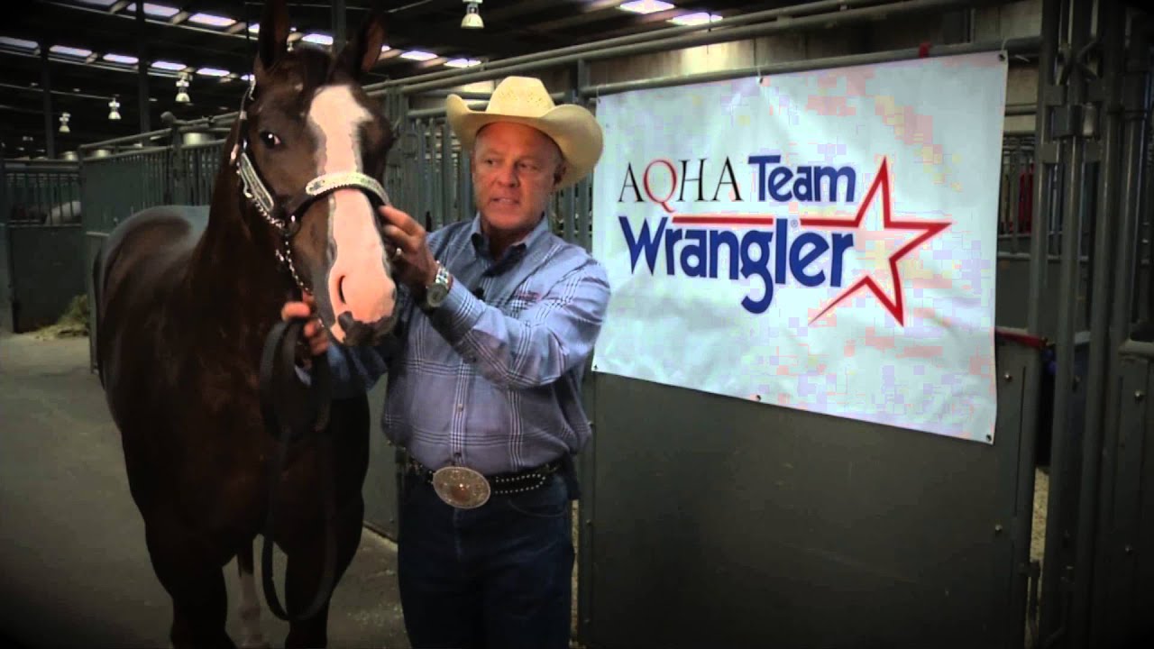 How to Fit a Show Halter - YouTube