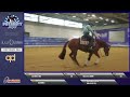 Futurity 2022  stefano ferri  this guys smart composite score 440