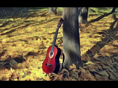 ხათუნა კურტანიძე - გადავიჩრდილებ ტყეში