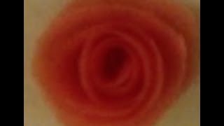 How To Make Tomato Rose -Tomato Carving - Cooking Cles