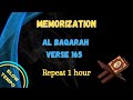 Surah Al Baqarah Verse 165 Repeats 1 Hour Albaqarah Quran Surah Al Baqarah Verse 165 Repeats 1 Hour Albaqarah Quran