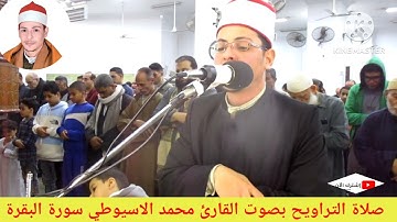 اول صلاة تراويح ليلة الصيام أجمل وأروع التلاوات المميزة سورة البقرة القارئ محمد الاسيوطي عين شمس