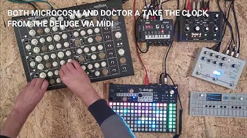Synthstrom Deluge + Vermona Perfourmer + OP1 + Hologram Microcosm