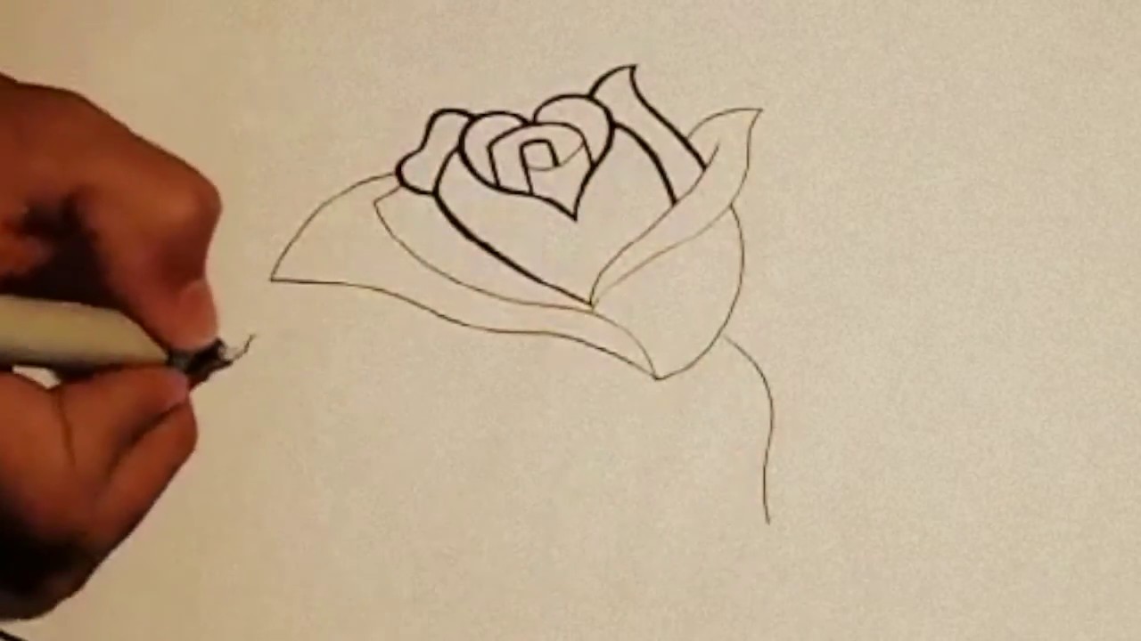 Comment Dessiner Une Rose Fleur Facilement