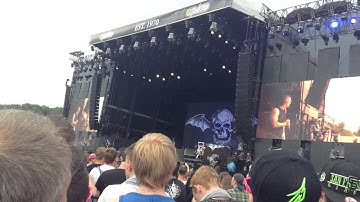 a7x Solo Pinkpop 2014
