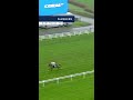 We've made great memories in the last 40 years…Which is your favourite #Ascot Hurdle race? |#shorts
