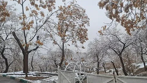 Snowy Bus Ride in Mashhad 🇮🇷 | Calm Winter Window Views❄️🧤