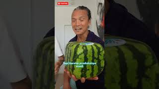 Kenapa Buah Semangka di Jepang Bentuknya Kotak?
