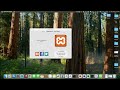 Web Development Express MySql App