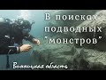 В поисках подводных монстров.