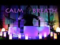 Calm breath  crystal bowls trueresonance1111  sound bath helps anxiety stress relaxation
