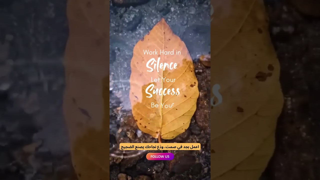 Work hard in silence let your success make the noise. 