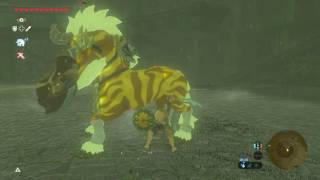 Zelda Breath of the Wild:Golden Lynel No Damage, No Powers, No OP weapons. Master Mode
