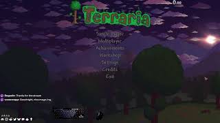 Terraria Master HC Mage runs