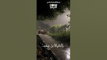 تلاوة خاشعة بصوت : #فيصل_الحكمي