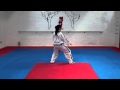 Toi Gye Tul and basic movements for grading to 2nd kup