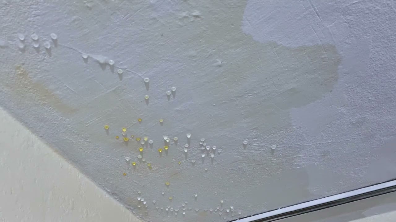 For fast response after a burst pipe, trust SERVPRO of Aitkin, Carlton, & West St. Louis Counties