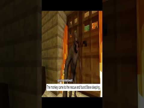 Minecraft Story Steve