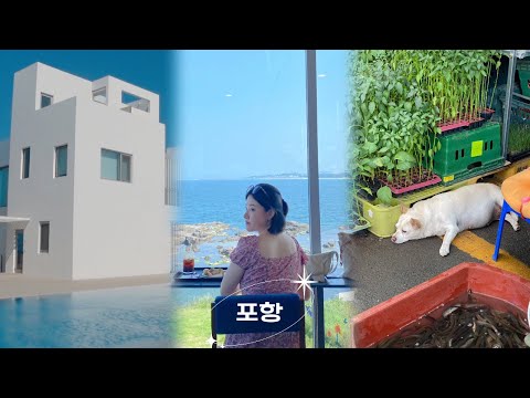 모든게 아름다웠던 <strong>포항</strong> 🦀🌊 <strong>맛집</strong>, 카페, 숙소, 가볼 곳 <strong>추천</strong>! 동백꽃 필 무렵 촬영지 등