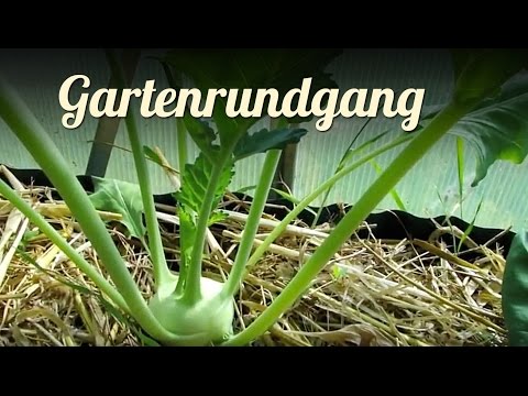 gartenrundgang-april-|-garden-tour-|-selbstversorger-garten