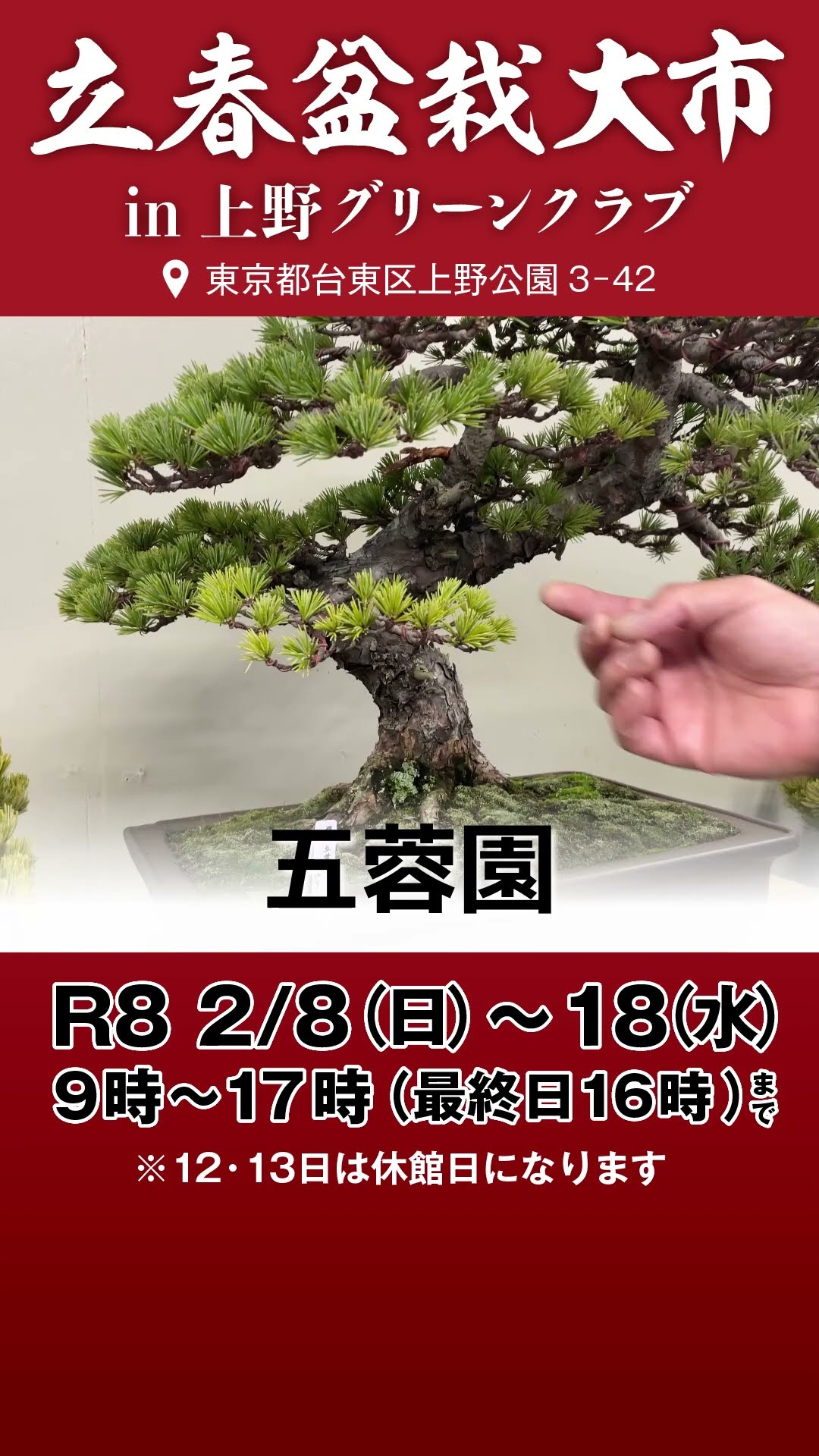北盆】2026年立春盆栽大市｜五蓉園 【出店者紹介】 - YouTube