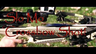 Ever Wonder What a Crossbow Looks Like At High Speed