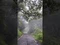 morning enga uru village road #love #trending #villagelife #road