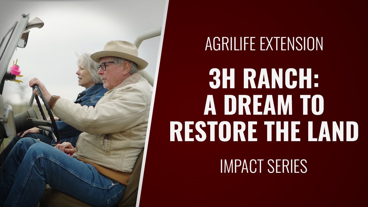 3H Ranch: A dream to restore the land - YouTube