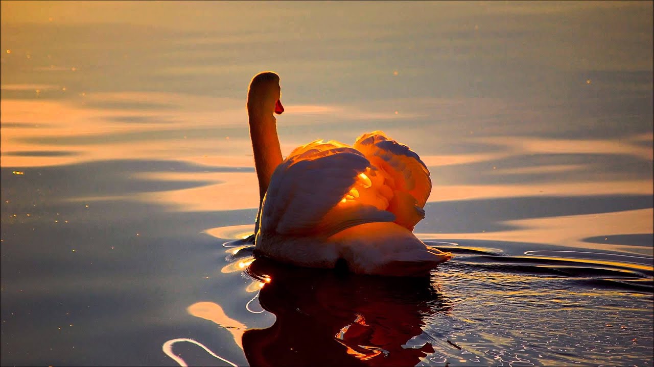 Watch Alex Dark & Abstrakt - Sunshine on YouTube Watch Alex Dark & Abstrakt - Sunshine on YouTube