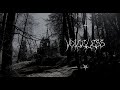 THE FOREIGN - VOICELESS (Official Visualizer)