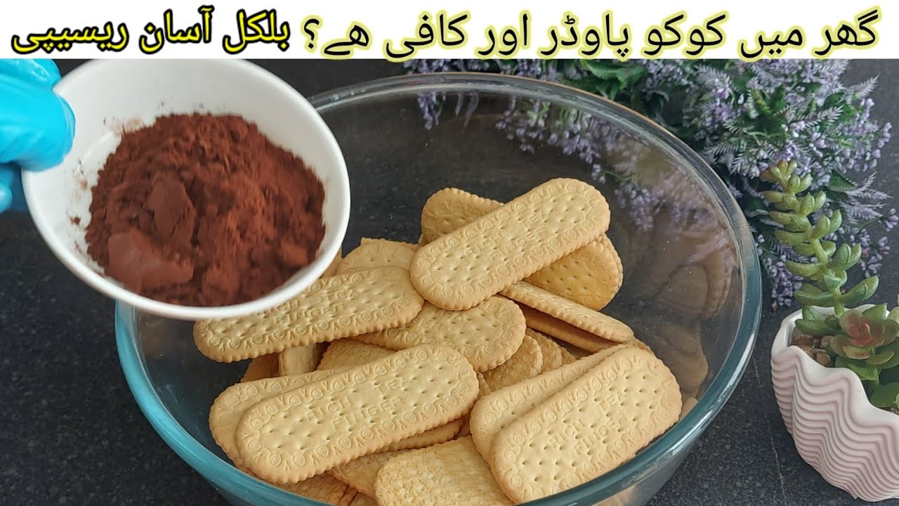 Quick and easy dessert recipe without an oven, with coffee and cocoa