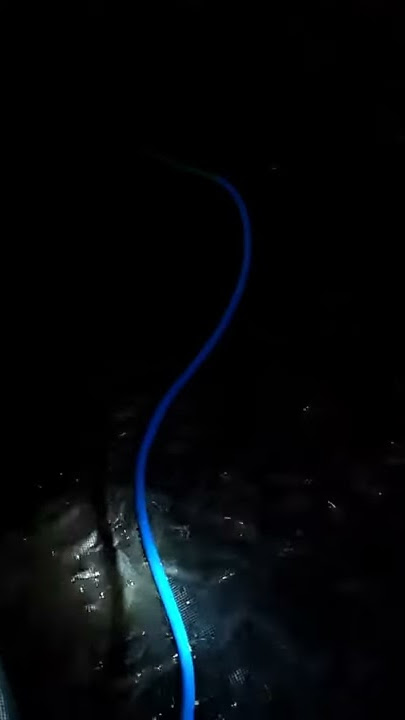 Desa jawik tambakrejo