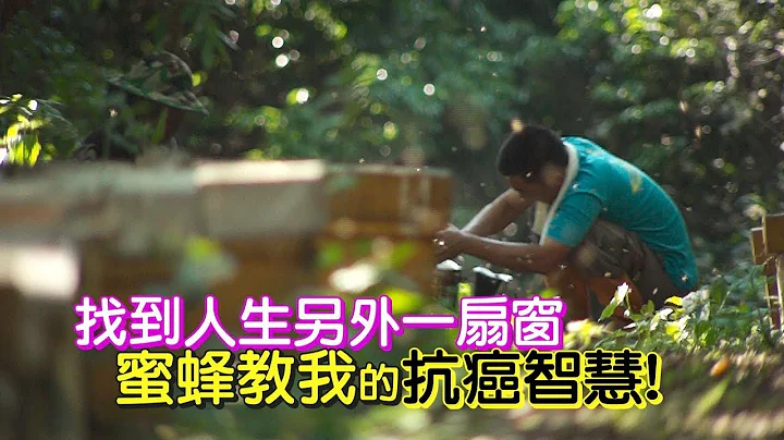 蜜蜂教的抗癌智慧 陈万吉【一步一脚印精选】 - 天天要闻