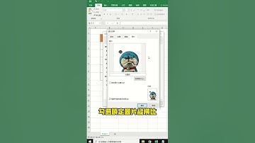一分鐘教會你！儲存格如何添加圖片？還學不會的，來我🆓三天Excel進階訓練營！快加賴：mr.excel77，發送“YT”即可學習課程！#like #excel #shorts #fyp #office