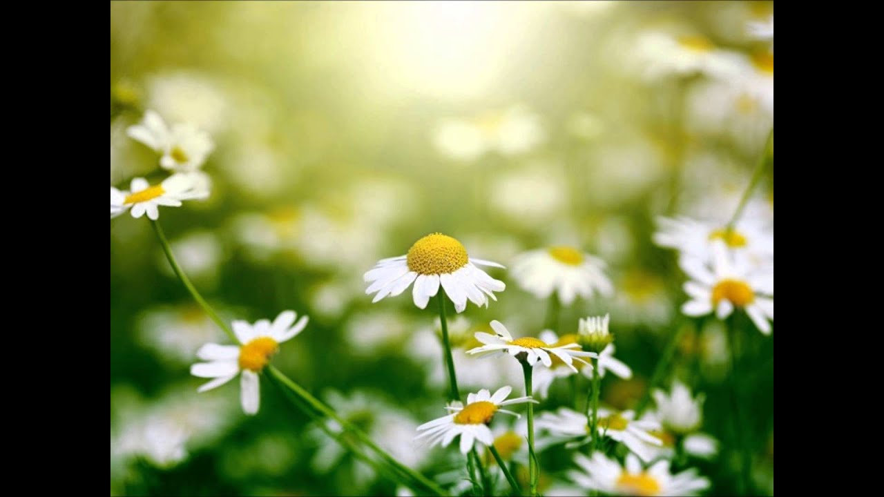 Kroppsscanning Mindfulness