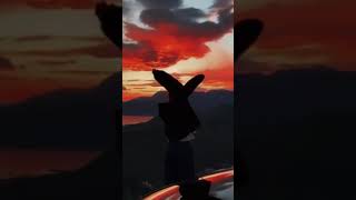 innerbloom Rufus du sol #shortvideo #rüfüsdusol #happylife #goodvibesonly #sunsetlovers