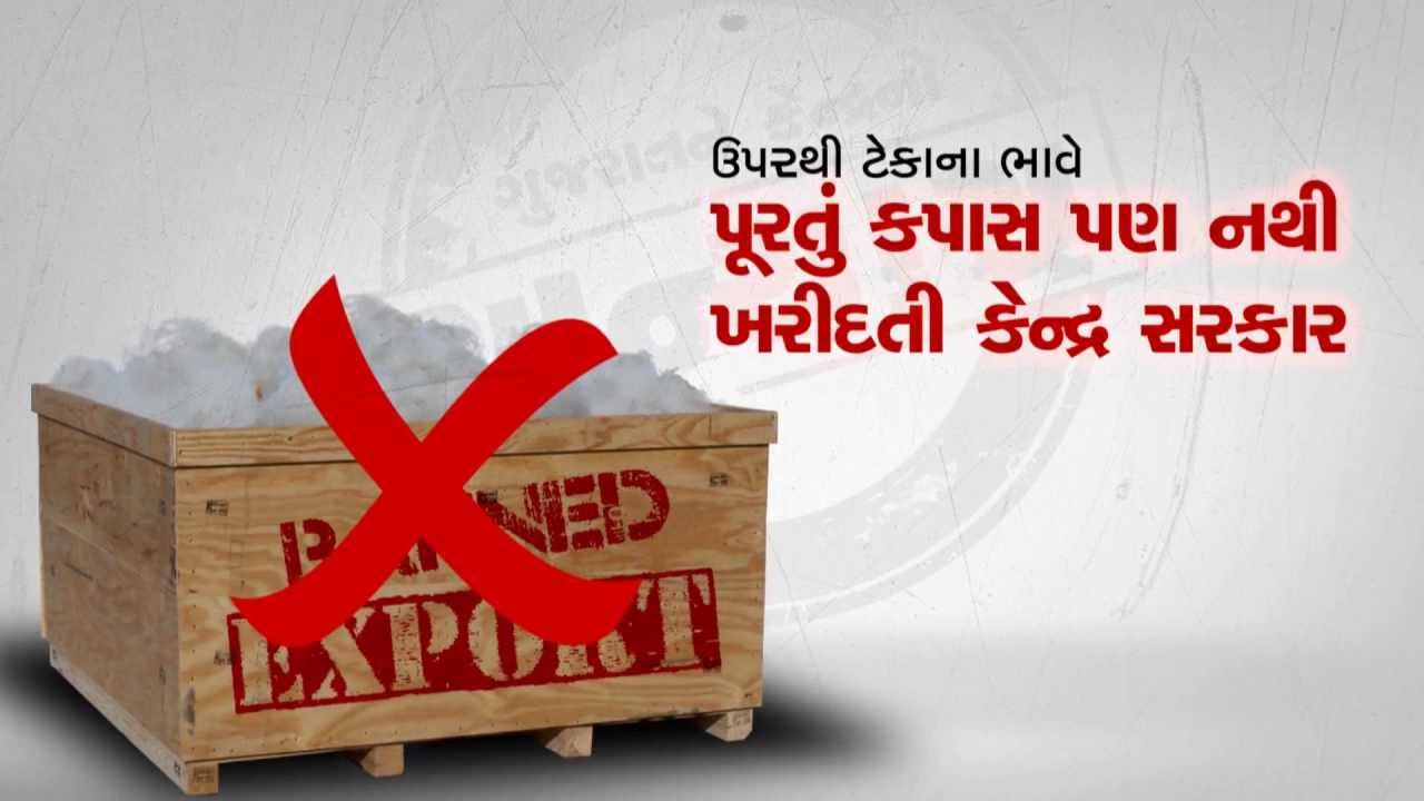 Injustice to the people of Gujarat by Central Government by banning cotton export
