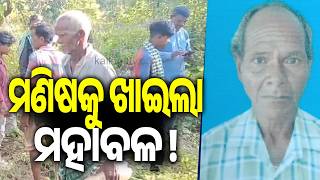 Partially Decomposed Body of Man Recovered from Mayurbhanj Forest; Tiger Attack Suspected screenshot 5