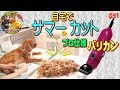 気持ちいい映像 キャバリア犬・自宅でサマーカット・トリミング早送り動画691｜Cavalier King Charles Spaniel